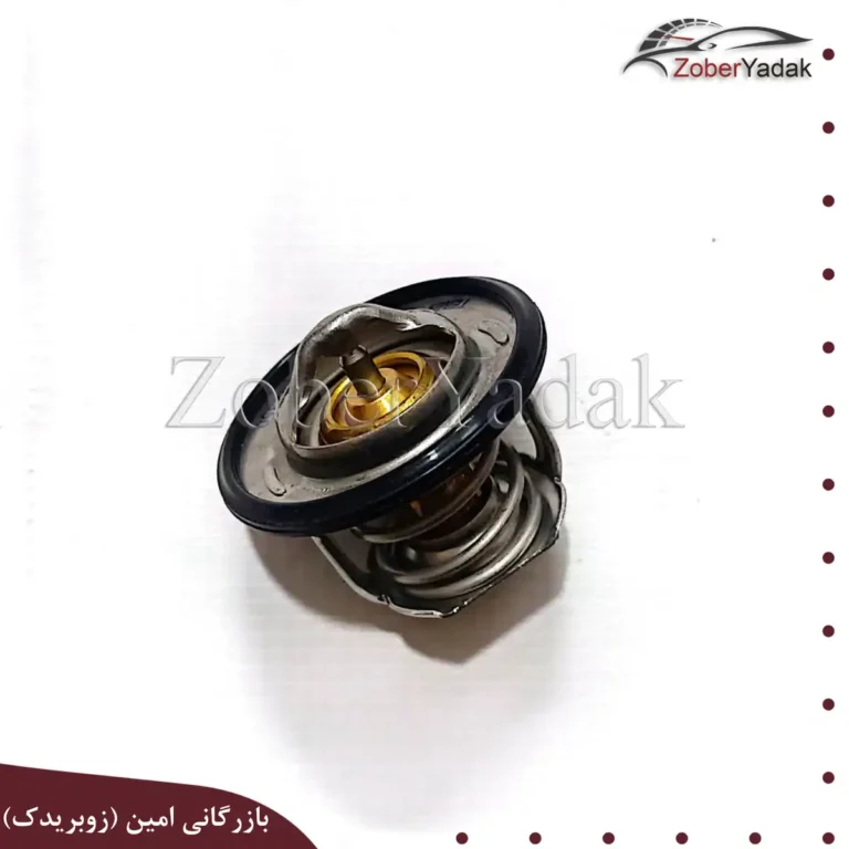 ترموستات TEMB اریو برلیانس
