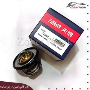 ترموستات TEMB اریو برلیانس
