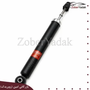 کمک عقب اریو و زوتی z300
